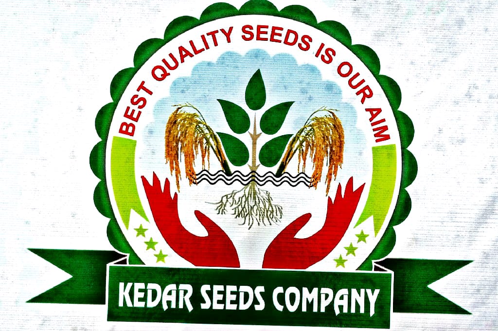 Kedar Seeds Logo